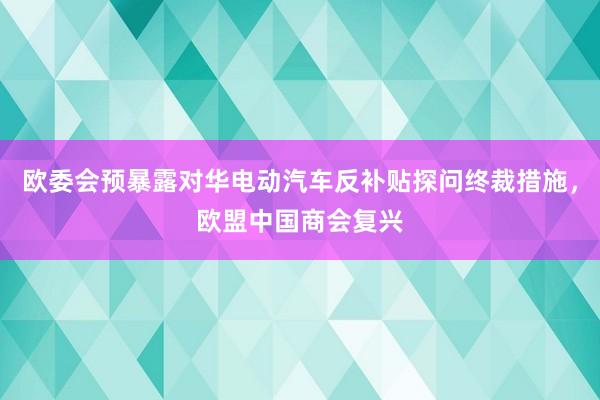 欧委会预暴露对华电动汽车反补贴探问终裁措施，欧盟中国商会复兴