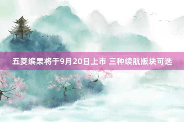 五菱缤果将于9月20日上市 三种续航版块可选