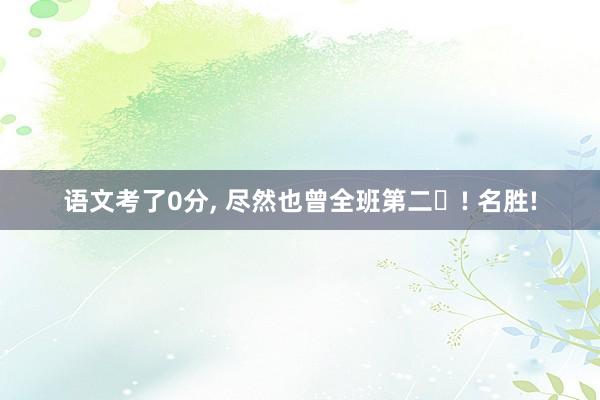 语文考了0分, 尽然也曾全班第二✌! 名胜!