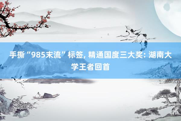 手撕“985末流”标签, 精通国度三大奖: 湖南大学王者回首