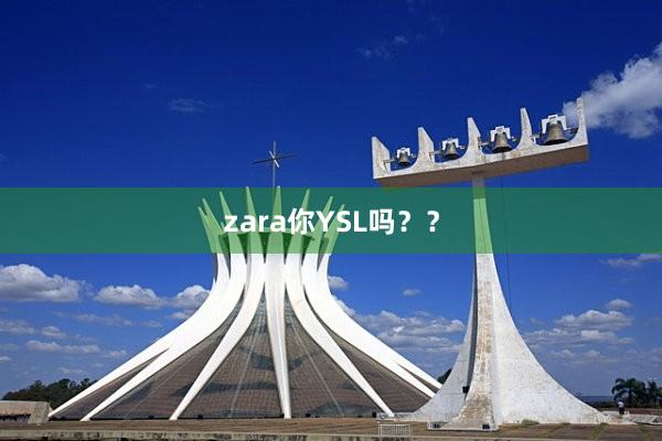 zara你YSL吗？？