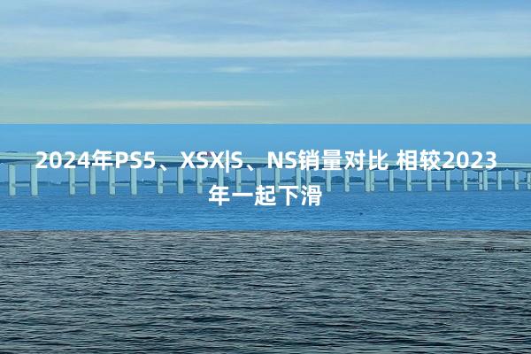 2024年PS5、XSX|S、NS销量对比 相较2023年一起下滑