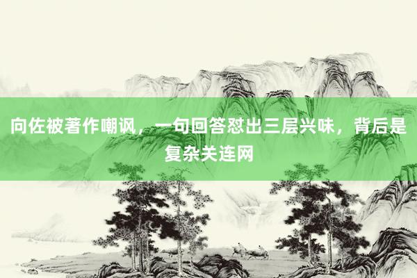 向佐被著作嘲讽，一句回答怼出三层兴味，背后是复杂关连网