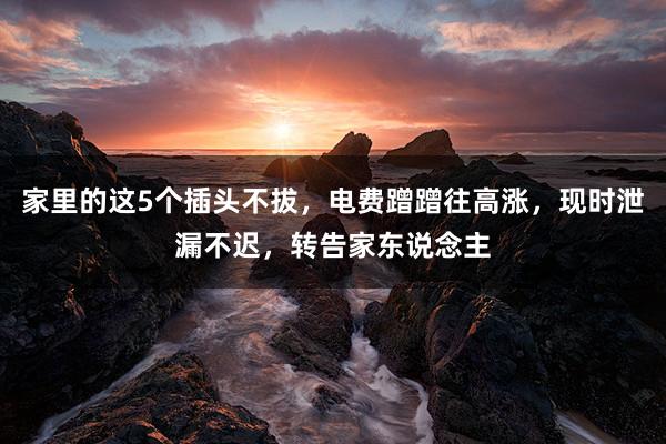 家里的这5个插头不拔，电费蹭蹭往高涨，现时泄漏不迟，转告家东说念主