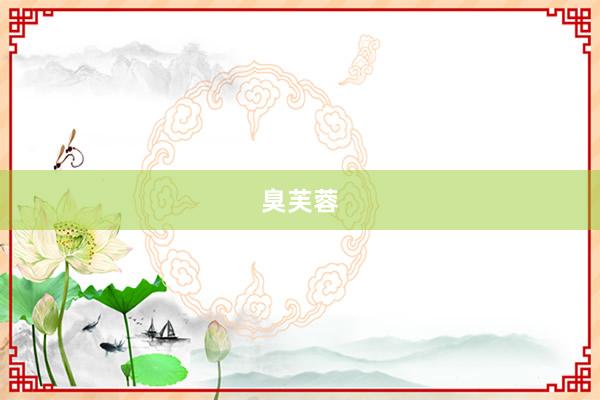 臭芙蓉