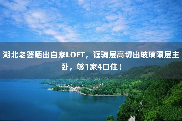湖北老婆晒出自家LOFT，诓骗层高切出玻璃隔层主卧，够1家4口住！
