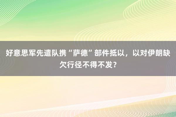 好意思军先遣队携“萨德”部件抵以，以对伊朗缺欠行径不得不发？