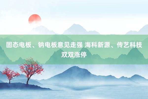 固态电板、钠电板意见走强 海科新源、传艺科技双双涨停