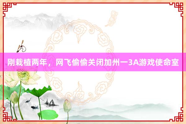 刚栽植两年，网飞偷偷关闭加州一3A游戏使命室
