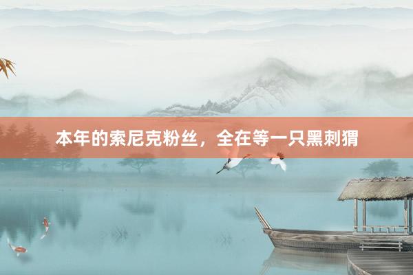 本年的索尼克粉丝，全在等一只黑刺猬