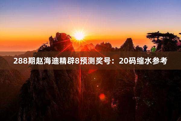 288期赵海迪精辟8预测奖号：20码缩水参考