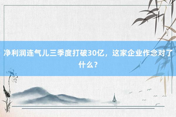 净利润连气儿三季度打破30亿，这家企业作念对了什么？
