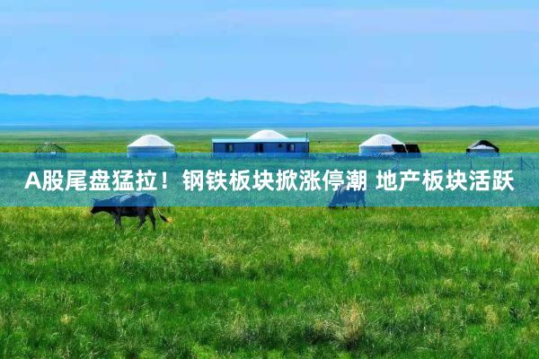 A股尾盘猛拉！钢铁板块掀涨停潮 地产板块活跃