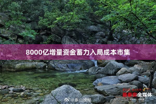 8000亿增量资金蓄力入局成本市集