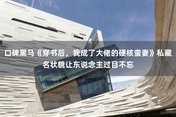 口碑黑马《穿书后，我成了大佬的硬核蛮妻》私藏名状貌让东说念主过目不忘