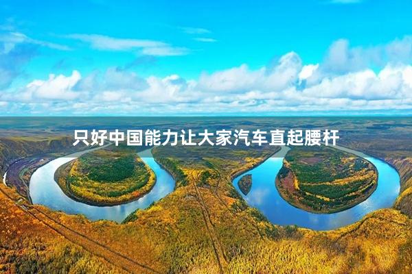 只好中国能力让大家汽车直起腰杆