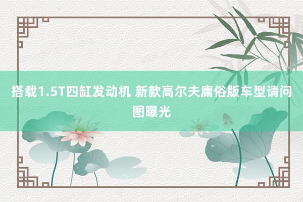 搭载1.5T四缸发动机 新款高尔夫庸俗版车型请问图曝光