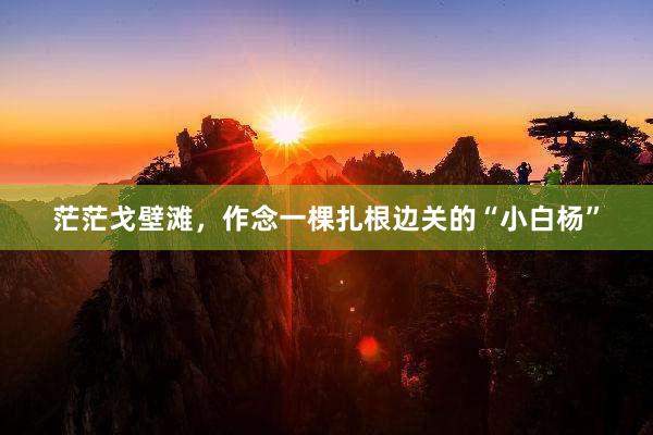 茫茫戈壁滩，作念一棵扎根边关的“小白杨”