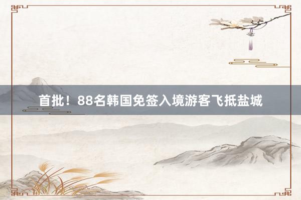 首批！88名韩国免签入境游客飞抵盐城