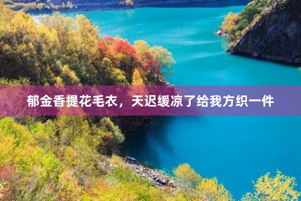 郁金香提花毛衣，天迟缓凉了给我方织一件