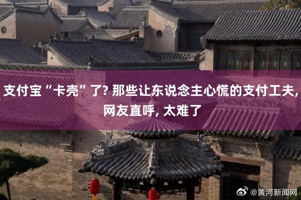 支付宝“卡壳”了? 那些让东说念主心慌的支付工夫, 网友直呼, 太难了