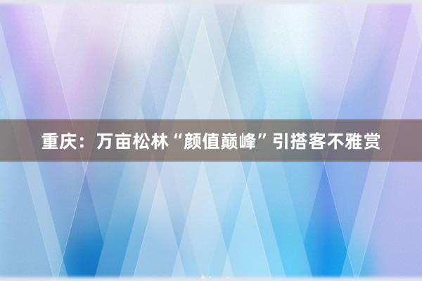 重庆：万亩松林“颜值巅峰”引搭客不雅赏