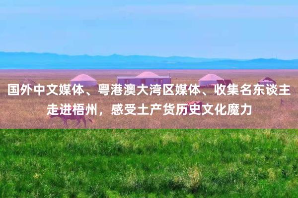 国外中文媒体、粤港澳大湾区媒体、收集名东谈主走进梧州，感受土产货历史文化魔力