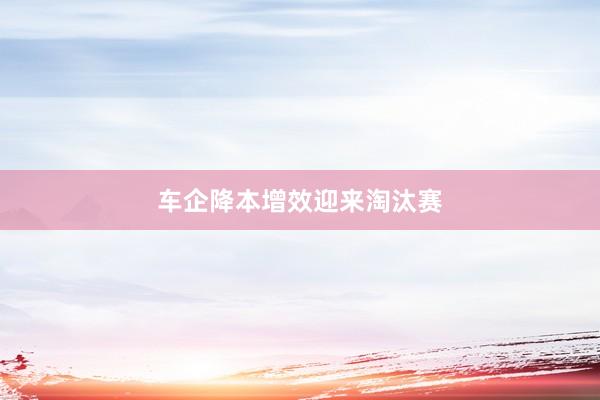 车企降本增效迎来淘汰赛