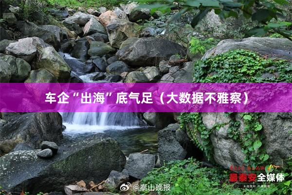 车企“出海”底气足（大数据不雅察）