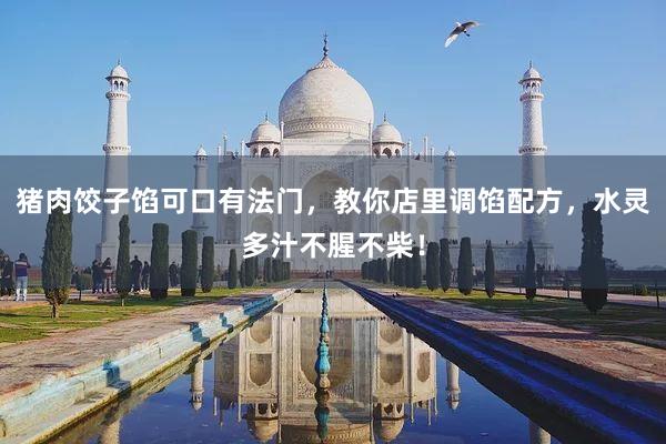 猪肉饺子馅可口有法门，教你店里调馅配方，水灵多汁不腥不柴！