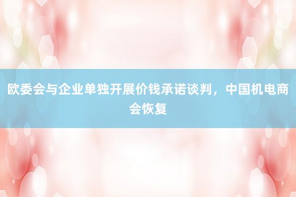 欧委会与企业单独开展价钱承诺谈判，中国机电商会恢复